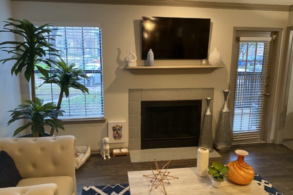 20. fireplace