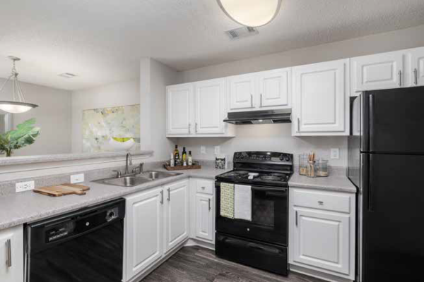 Belle Vista Current Kitchen